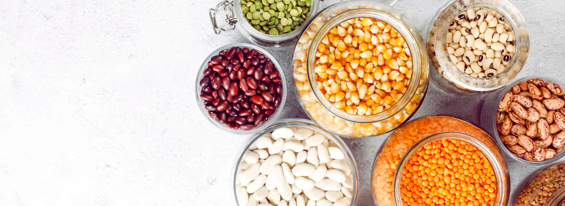 Food Ingredients